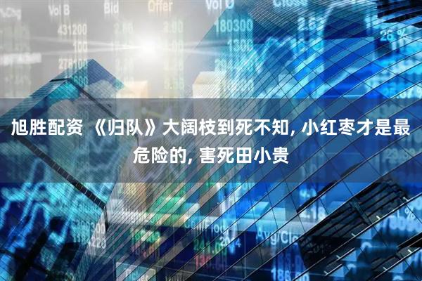 旭胜配资 《归队》大阔枝到死不知, 小红枣才是最危险的, 害死田小贵
